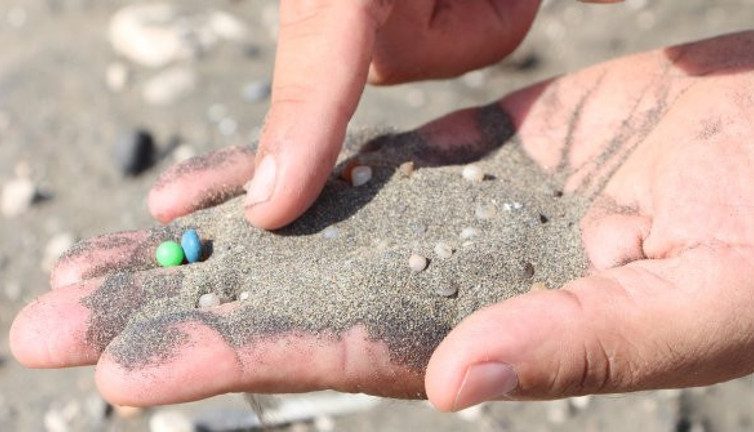 Adana sahillerinde kanser kol geziyor. 1 avuç kumda 200 tane var. Doç. Dr. Sedat Gündoğdu'dan toksit zehirli bomba uyarısı