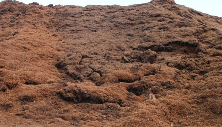 Rize'de çayın çöpü de değere bindi. Toplanmaya başlandı. Mangal kömürü ve elektrik üretilecek