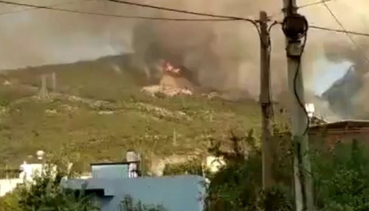İskenderun'da ormanları yakanları suçüstü kameraya aldı, Yakalayın bu halk düşmanı teröristleri!