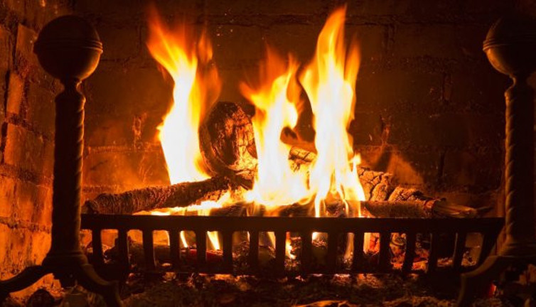 Süs eşyası diye aldığı kafatası gerçek çıktı. Amerika'da polis eve baskın yaptı