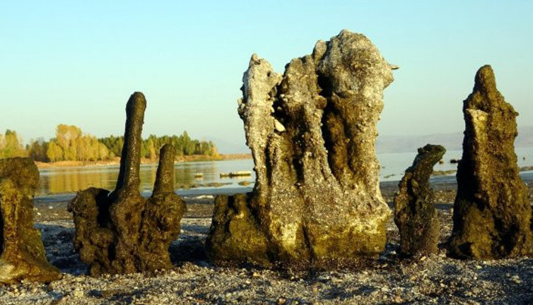 Van Gölü'nde sular çekilince mikrobiyalitler ortaya çıktı. Dünyanın en büyüğü. Görenler kendinden geçti