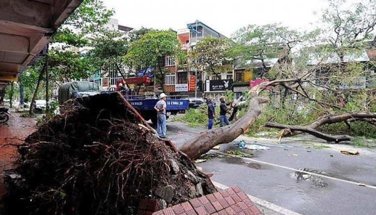 Malove Tayfunu 13 can aldı