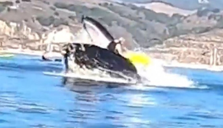 Okyanusun ortasından aniden ortaya çıktı kanocu kadınlarla göz göze geldi. Videoyu izleyenlerin kanı dondu