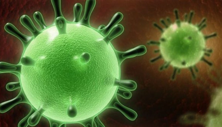 Araştırmacılar korona virüsün yeni suç ortaklarını da keşfetmeyi başardı. Yeni pandemiye sebep olacak sessiz mutasyonlara dikkat