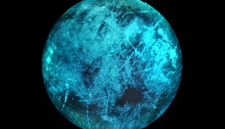 Uzayın derinliklerinde parlak ışığı fark edildi. Bilim insanları sevinçten adeta deliye döndü