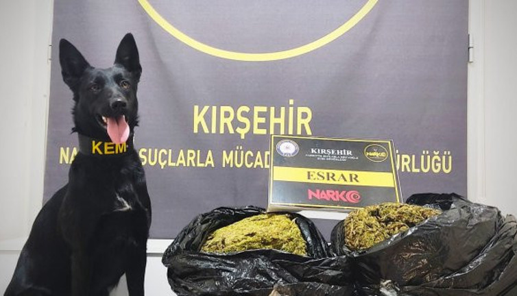 Patates çuvalına gizlenen esrarı narkotik köpeği ‘Çine’ buldu