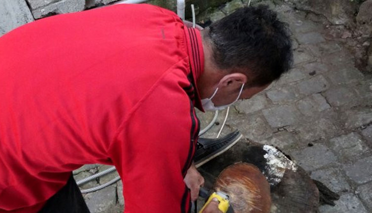 Kestiği ağacın gövdesine bakınca gözleri adeta yuvasından fırladı. Trabzon bu olayı konuşuyor