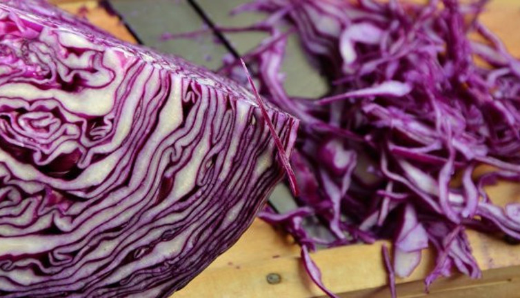 Bilimsel olarak kanıtlandı! Resmen akciğerlere kalkan oluyorlar…