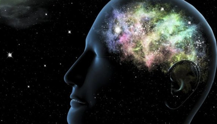 Yapısı insan beyni gibi. Akıllara durgunluk veriyor