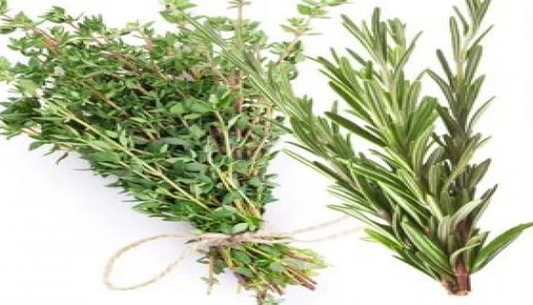 Türk profesör koronaya çare olan mucizevi kekik yağını kimlerin kullanamayacağını açıkladı. Fiyatı arttıkça artıyor