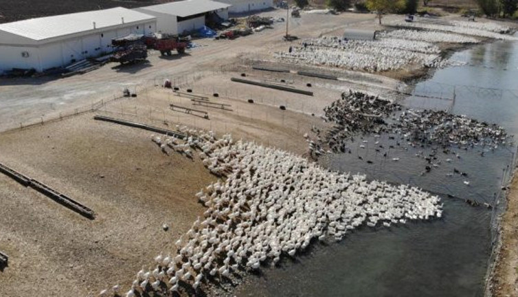 Hobi olarak başladı şimdi paraya para demiyor. Türkiye'nin dört bir yanından sipariş yağıyor