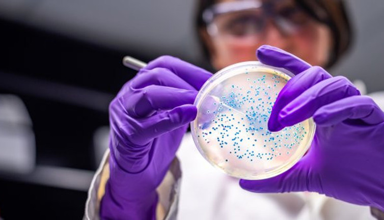 Meğer insanların bu şekilde hareket etmesi ölümcül bakteriye akciğerin kapılarını açıyormuş. Yüzyıllara ışık tutacak araştırma