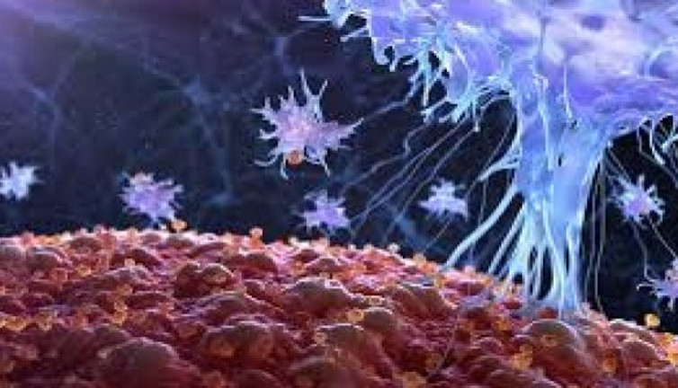 En sık ve en büyük belirtisi öksürük. Dünyada her saat 20 kişinin ölümüne neden oluyor