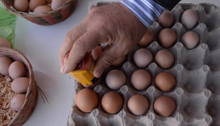 Köy yumurtasındaki büyük hileyi açıkladı. En yetkili isim uyarı üstüne uyarı yaptı