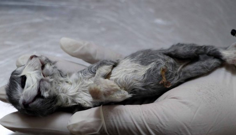 Gören dönüp dönüp bir daha baktı. Gaziantep bu olayı konuştu