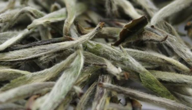 Grip ve soğuk algınlığına derman oluyor. Hastalık savar besinler şifa deposu