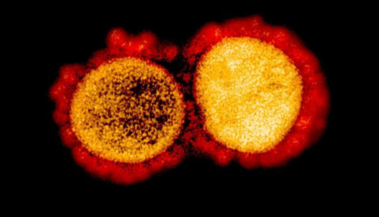 Korona virüste korkulan oluyor. Mutasyon haberi geldi Dünya Sağlık Örgütü acil açıklama yaptı