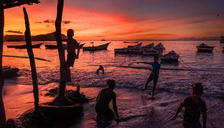 Yüzlercesi bir anda karaya vurdu. Görenler mutluluktan ağladı. Nereden ve nasıl geldiği bilinmiyor