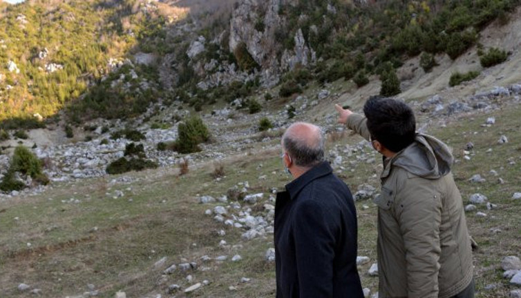 Dağdan topluyorlar günlük kazançları 500 TL. Andırın köylülerini tabiat ana sevindiriyor