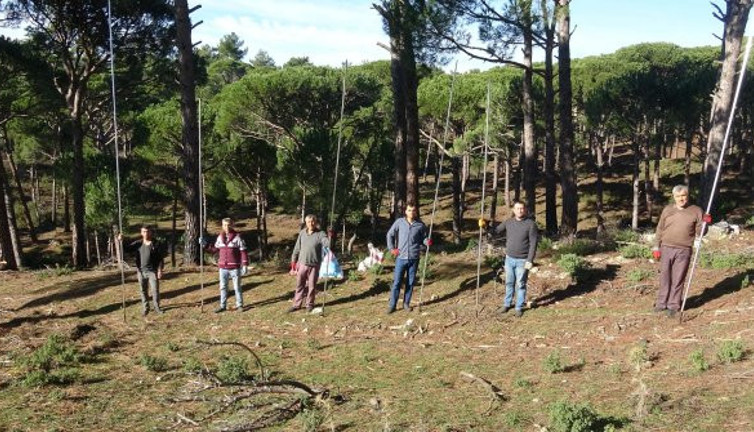 Yerli Tarzanların günlüğü 500 TL. Fiyatı altınla yarışıyor