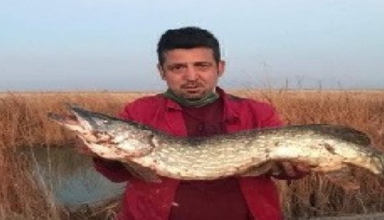 Kayseri'de özel oltayla dev turna balığı yakaladı