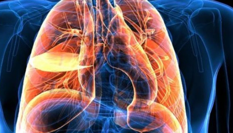 Doç. Dr. Öztürk 1.1 milyar kişiyi bekleyen büyük tehlikeyi açıkladı. Ölüm hızını 14 kat artırıyor