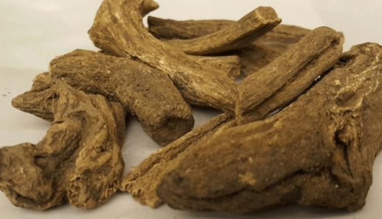 Dünyanın en güçlü doğal antibiyotiği