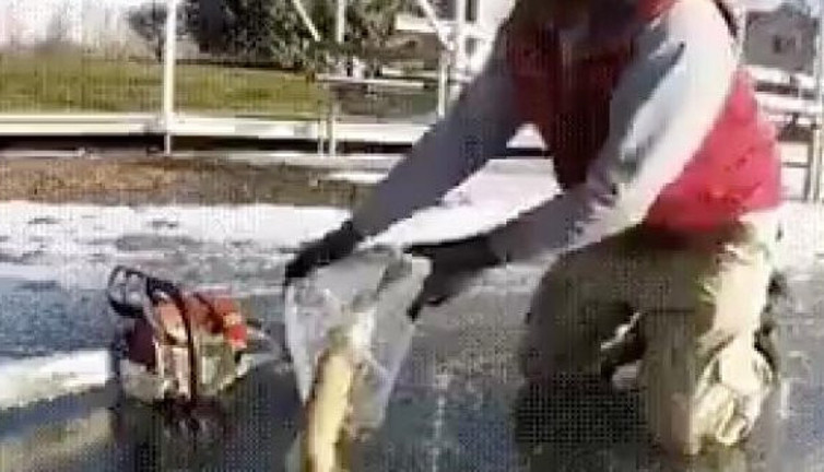 Dondurucu soğuklar İstanbul'a geliyor kafası buzun içinde dondu