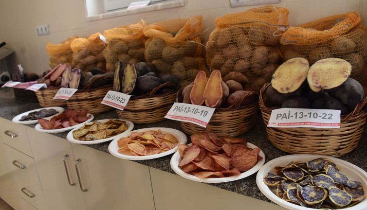 Niğde'de üretildi. Bu patateslere bakan dönüp dönüp bir daha bakıyor. Doğal ve vitamin deposu