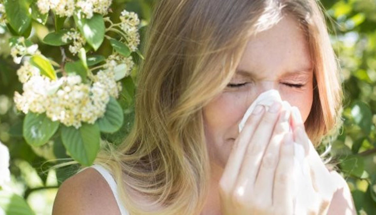 Uzman doktor doğal reçeteyi açıkladı. Herkesin muzdarip olduğu alerji için çözüm bulundu