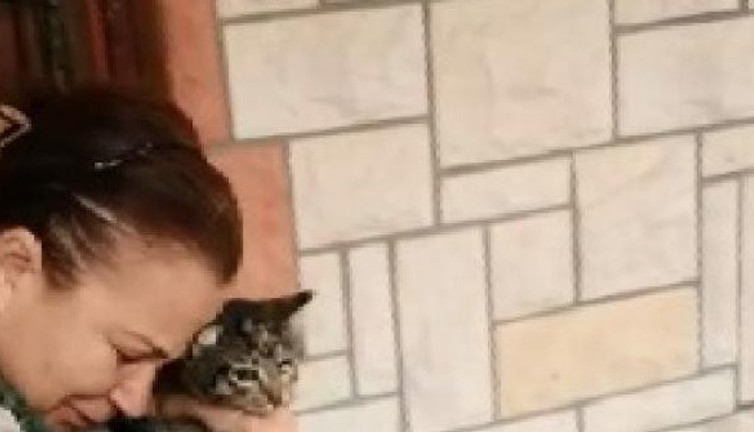 Adana’da vahşet. Kedisini veterinere götürdü. Döndüğünde hayatının şokunu yaşadı