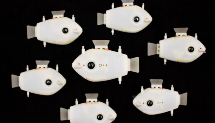 Bilim adamları resmen duyurdu. Artık suyun altındalar