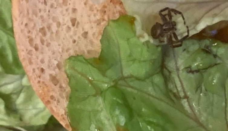 Hamburgerin içinde gördü korkusuyla yüzleşti. İngiliz kadın üç gündür yemek yiyemiyor