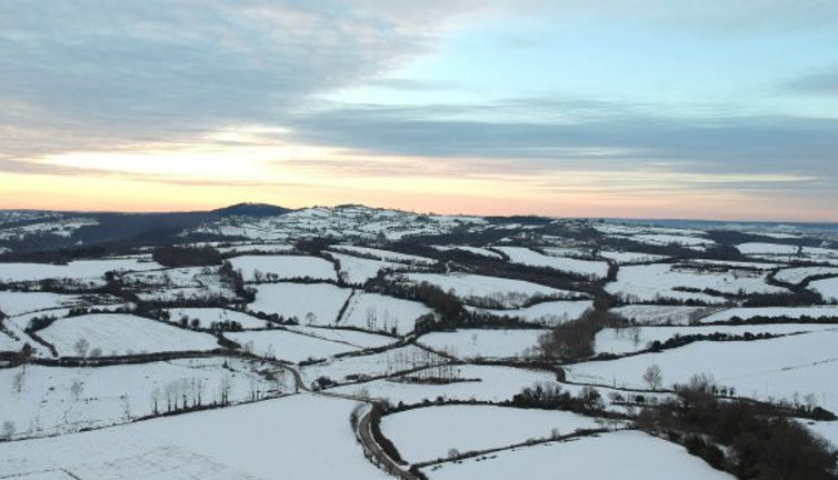 Sinop'taki tarlasında gezerken önüne yuvarlandı. 1 milyon lira istiyor