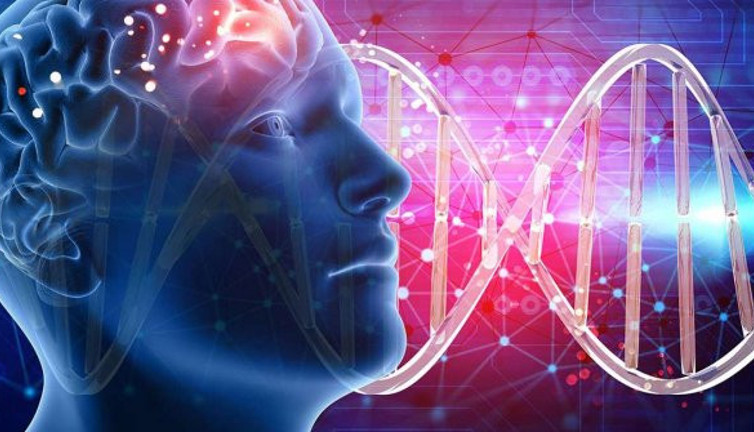 3 sorudan oluşan dünyanın en kısa zeka testi