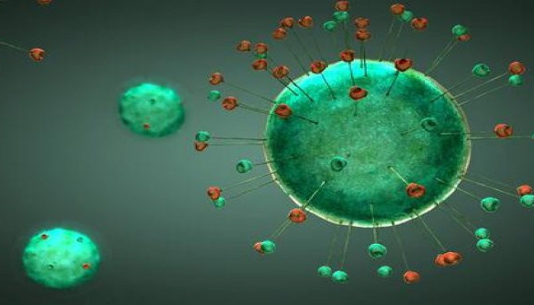 Koronayı tespitte uygulanacak yeni yöntem. Halk tepkili, doktorlar ise destekliyor