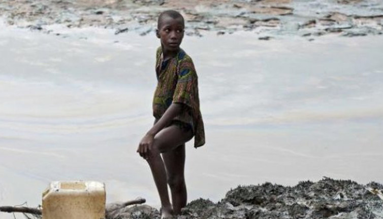 Shell, Nijerya'da tarım arazilerini kirlettiği çiftçilere tazminat ödeyecek