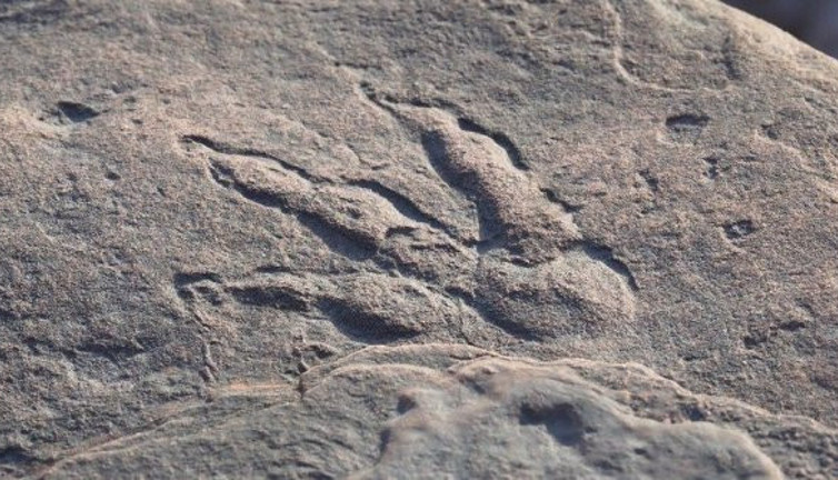 Arkeologlar hemen inceledi bölge korumu altına alındı. Ailesiyle yürüyen 4 yaşındaki çocuk gördü