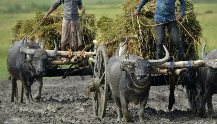 Hindistan'da büyük grev başladı