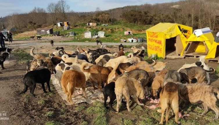 İYİ Parti Beykoz Teşkilatı'ndan örnek davranış. Can dostlar unutulmadı