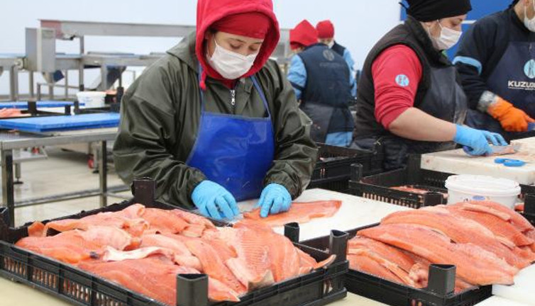 Karadeniz somonu ihracatı yüzde 275 arttı