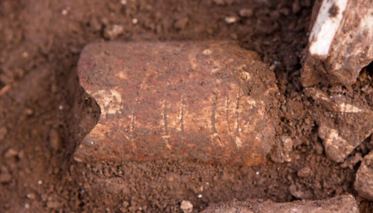 Fransız arkeologlar kazmayı vurduğunda çıkan ses ile irkildi. Çamurdan zor çıkarıldı