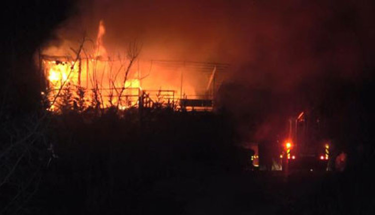 Osmangazi Ormanı'nda korkutan yangın