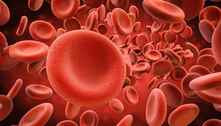 Demir eksikliğine dikkat! İşte kansızlığa iyi gelen besinler