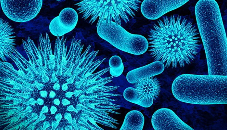 Sao Paolo Üniversitesi güzel haberi duyurdu: Gut ilacı korona virüse umut olabilir