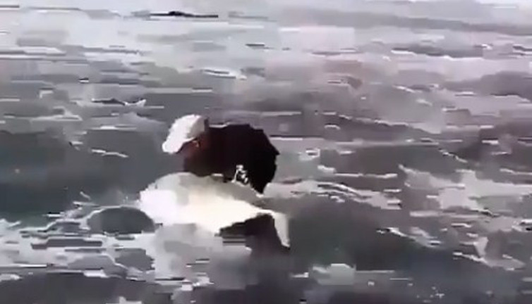 Yaşasın iyi insanlar kahrolsun kötü insanlar . Cennete gitmek istiyorsanız iyi insan olun yeter