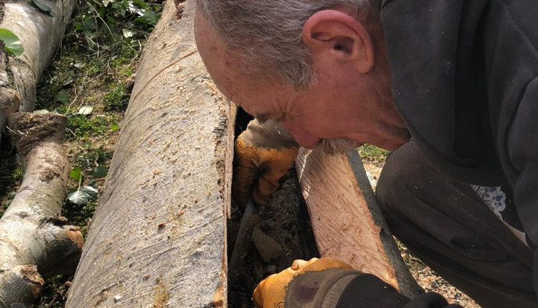 Sakarya'da çürük ağacı kesince tam ortasında buldu. Belgeselde gördüklerini kendisi yaşadı