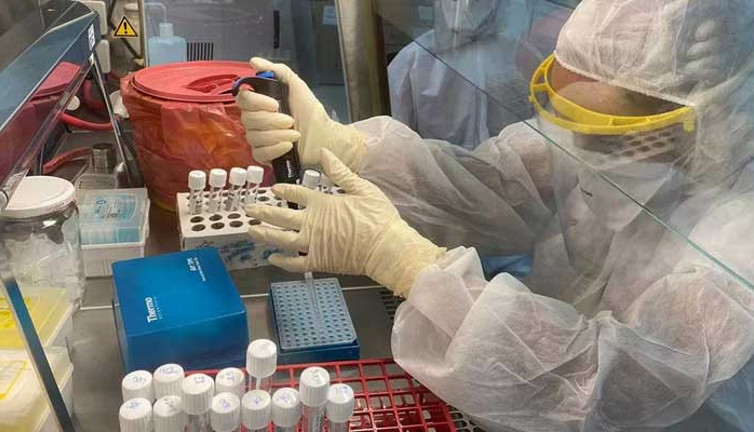 KKTC'de mutasyonlu virüs paniği