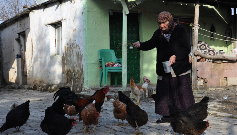 99'luk Özo nine uzun yaşamanın sırrını açıkladı. 11 çocuk 45 torun sahibi