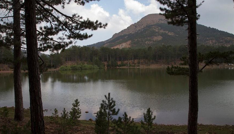 SİT alanına maden ruhsatı verildi. İkinci Kaz Dağları vakası. On binlerce ağaç kesilecek